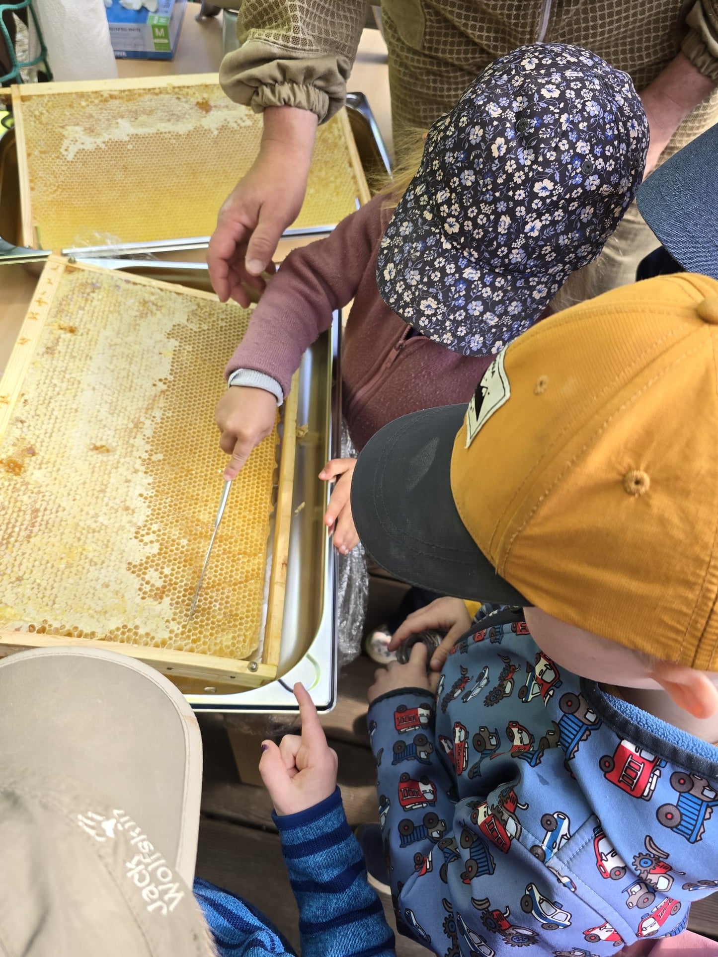 Schulimkerei-Erlebnis für Kinder