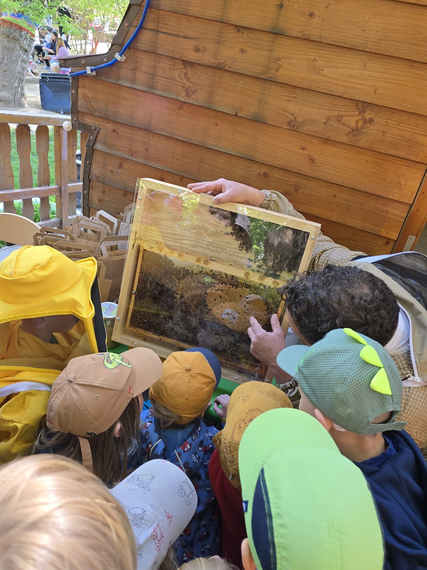 Schulimkerei-Erlebnis für Kinder